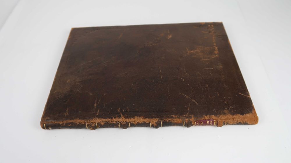 Imagem 3