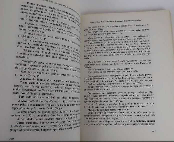 Imagem 6