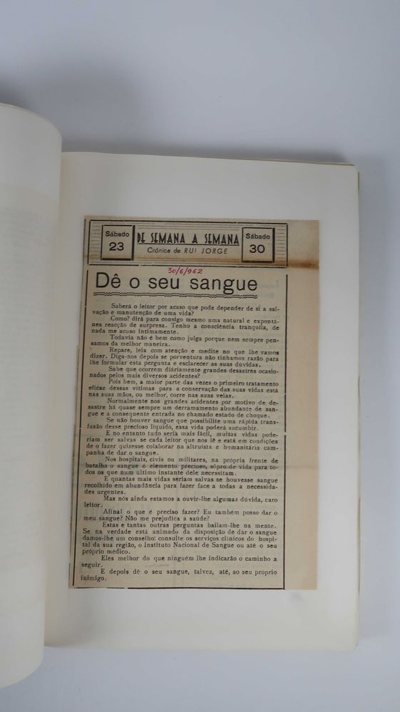 Imagem 7