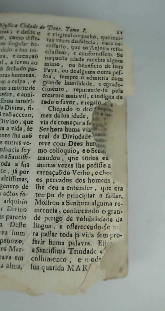 Imagem 5